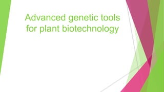 Advanced genetic tools
for plant biotechnology
1
 