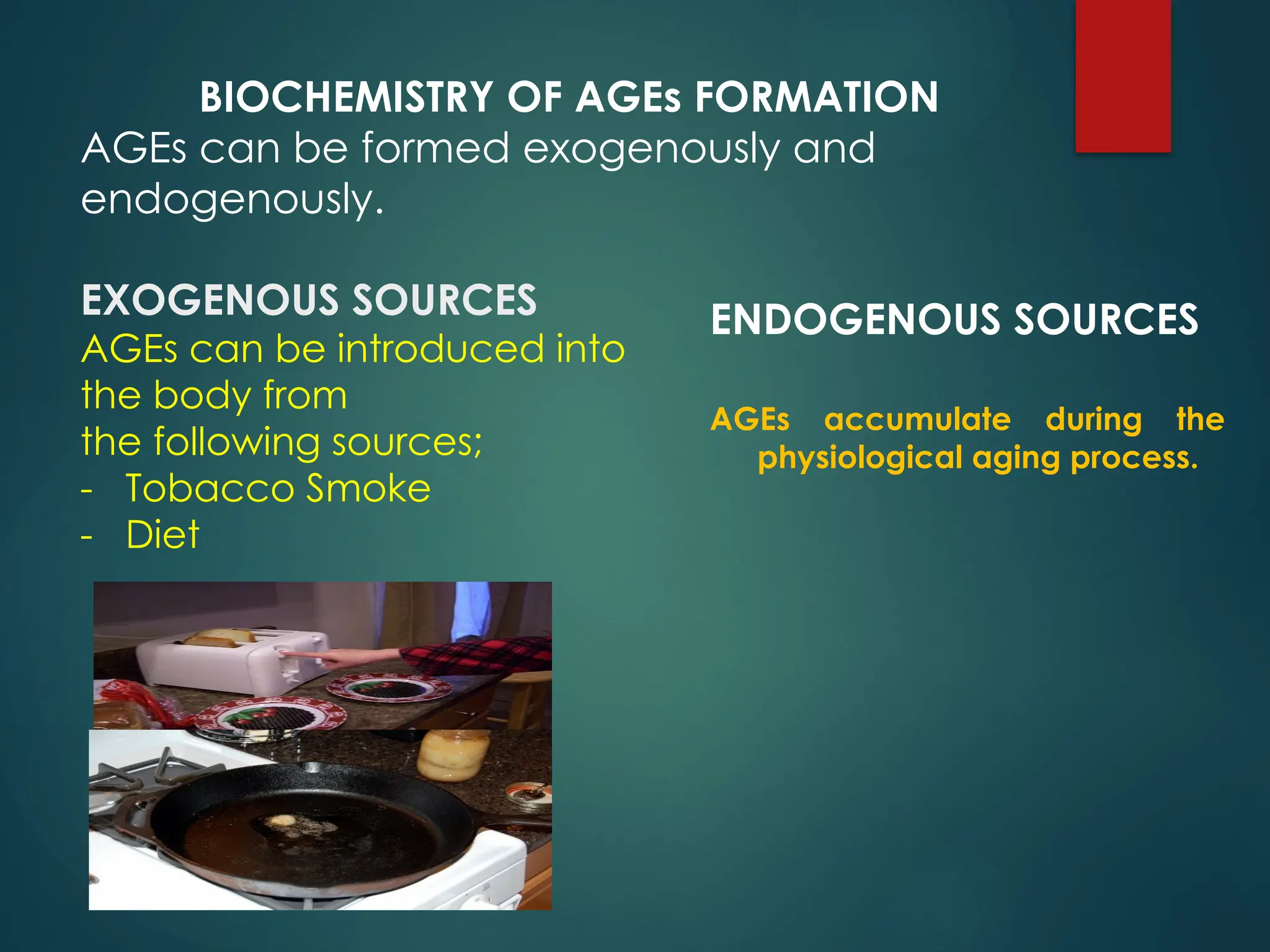 BIOCHEMISTRY OF AGEs FORMATION
AGEs can be formed exogenously and
endogenously.
EXOGENOUS SOURCES
AGEs can be introduced into
the body from
the following sources;
- Tobacco Smoke
- Diet
ENDOGENOUS SOURCES
AGEs accumulate during the
physiological aging process.
 