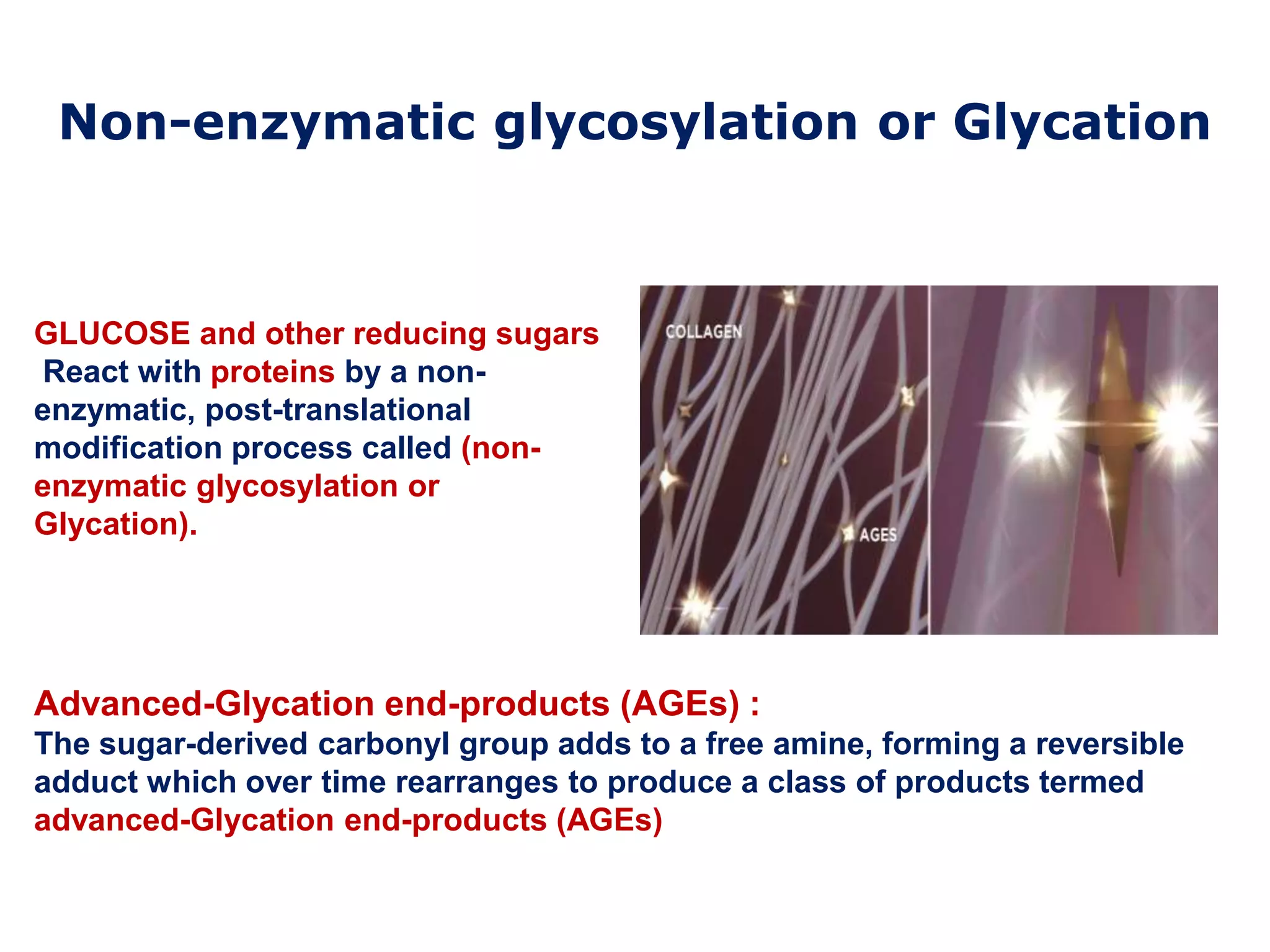 Advanced Glycation End Products Ages Pptx