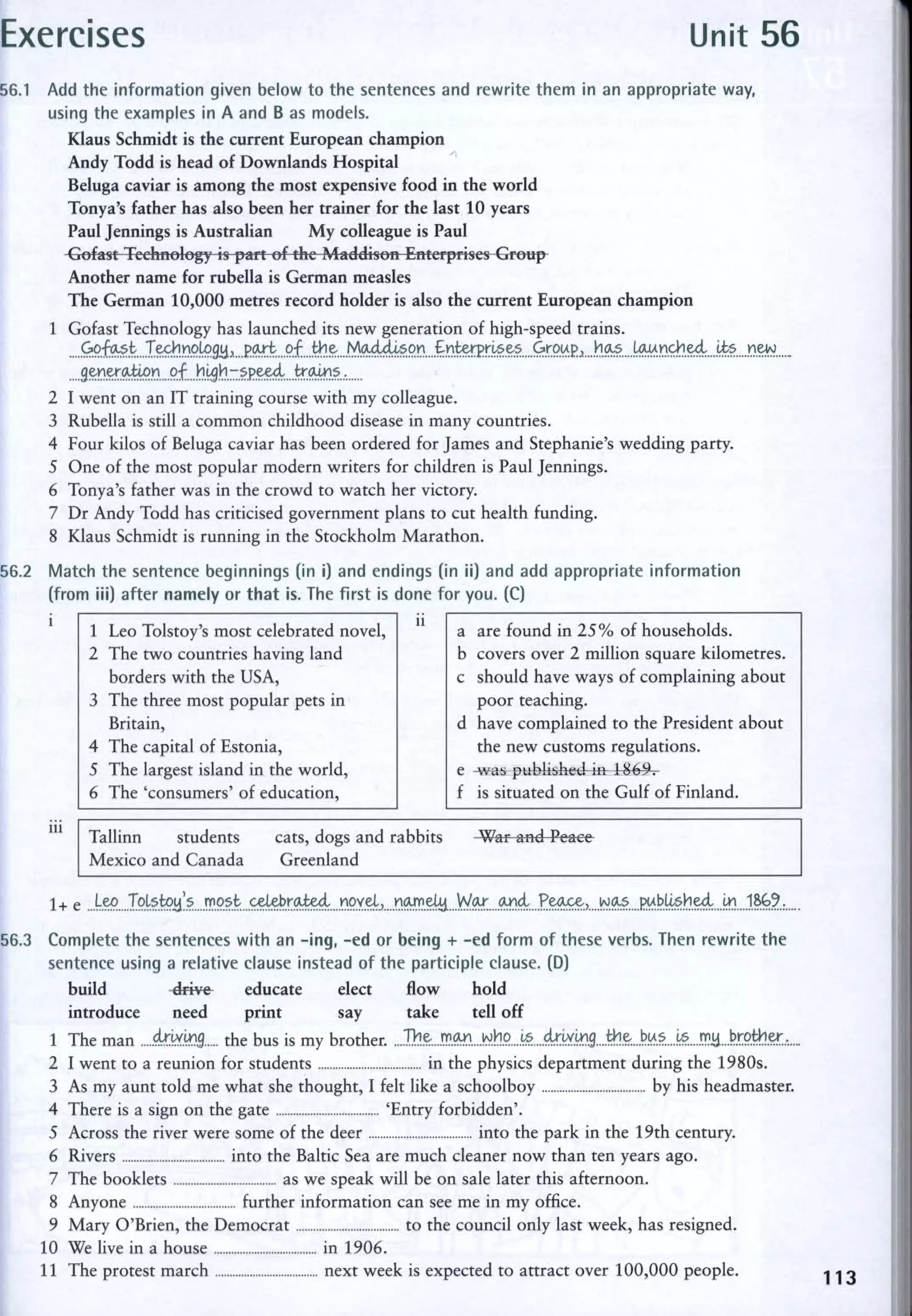 Advanced Grammar in Use 2nd Edition pdf