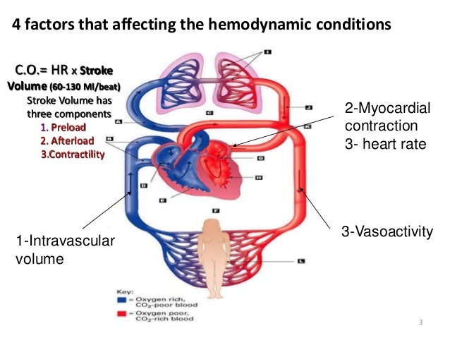 hemodynamic