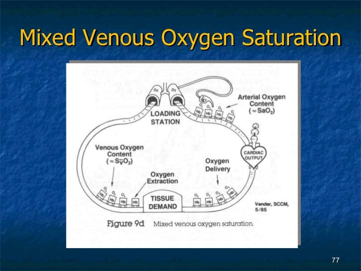 Advanced Hemodynamics