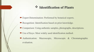 Botanical Authentication Advanced Herbal Technology: Extraction, Identification, and ...