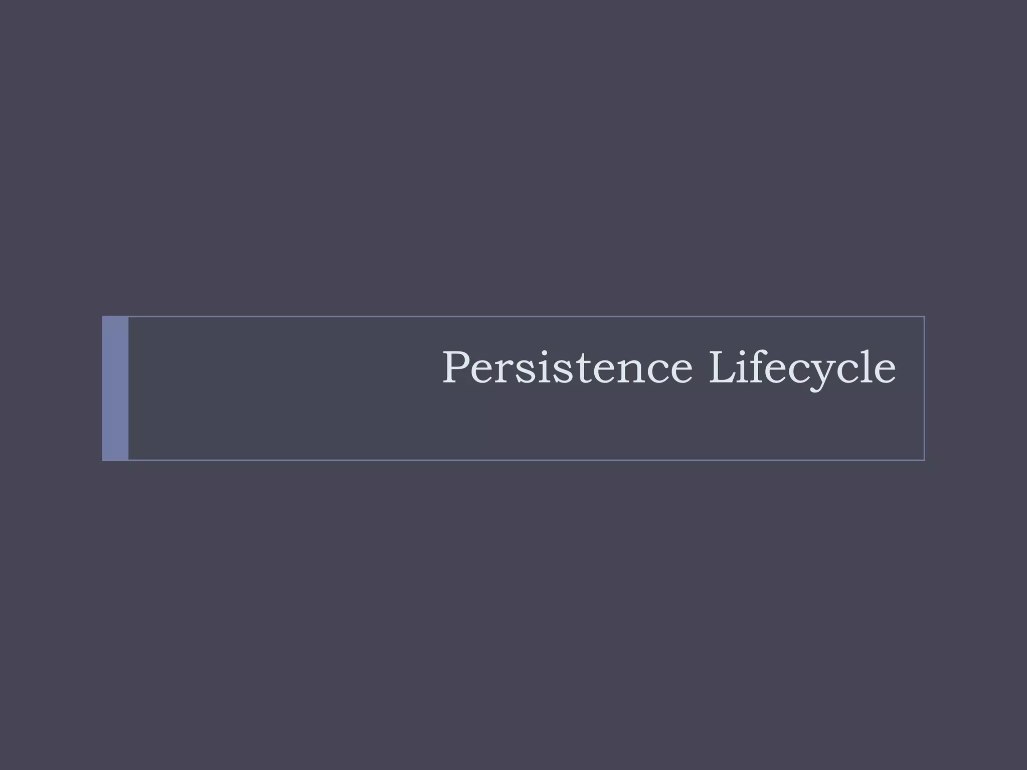 Persistence Lifecycle
 