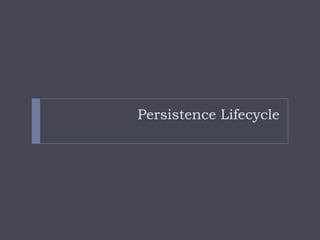 Persistence Lifecycle
 