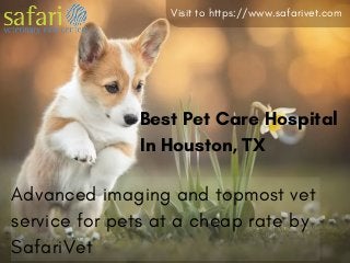 Visit to https://www.safarivet.com
Advanced imaging and topmost vet
service for pets at a cheap rate by
SafariVet
Best Pet Care Hospital
In Houston, TX
 
