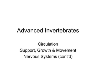 Advanced Invertebrates Circulation Support, Growth & Movement Nervous Systems (cont’d) 