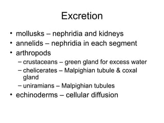 Excretion mollusks – nephridia and kidneys annelids – nephridia in each segment arthropods crustaceans – green gland for excess water chelicerates – Malpighian tubule & coxal gland uniramians – Malpighian tubules echinoderms – cellular diffusion 