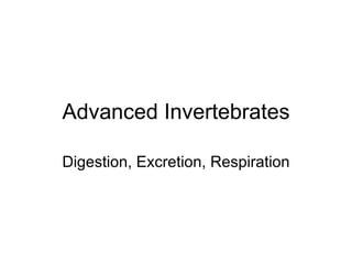 Advanced Invertebrates Digestion, Excretion, Respiration 