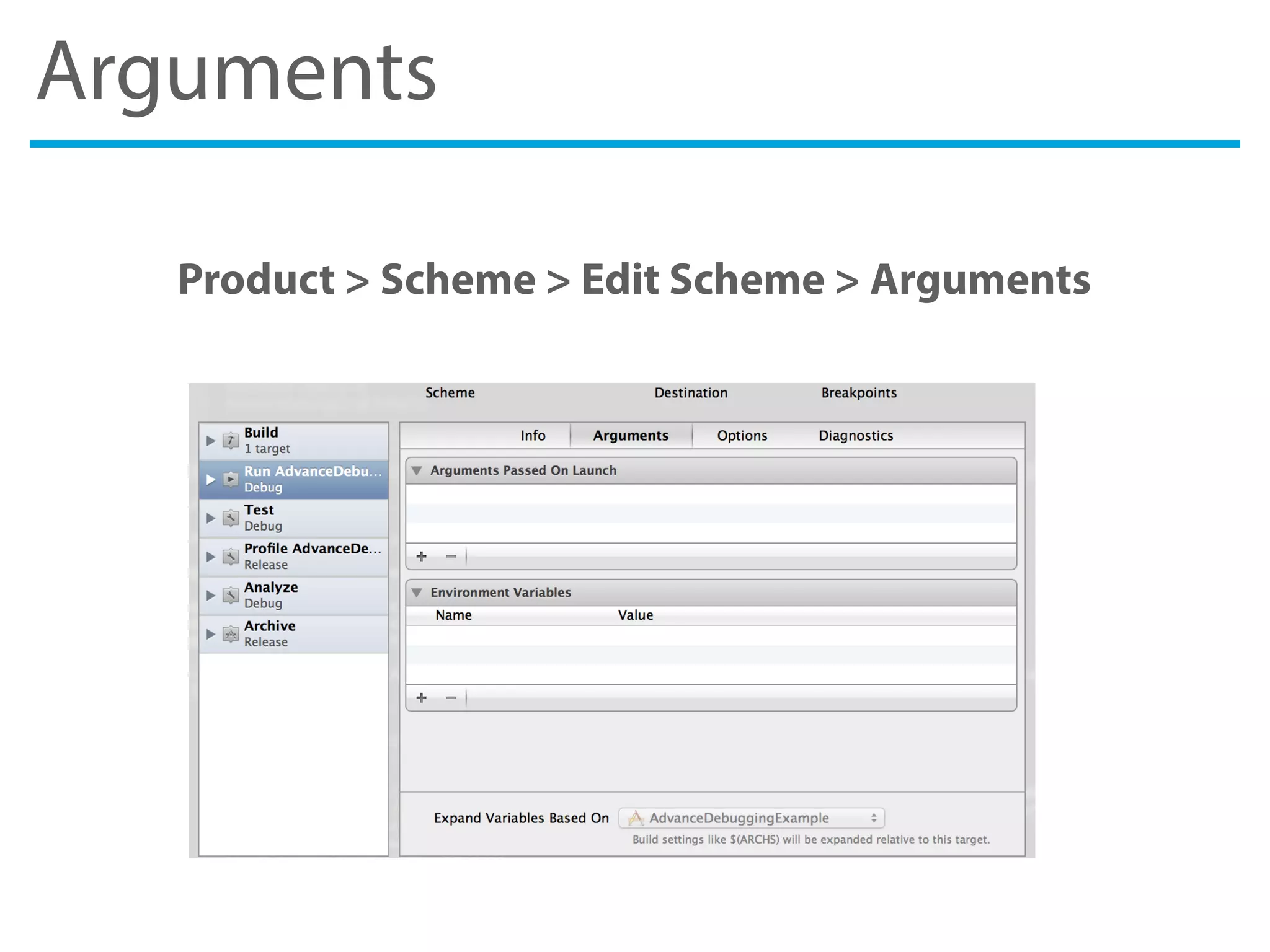 Arguments
Product > Scheme > Edit Scheme > Arguments
 