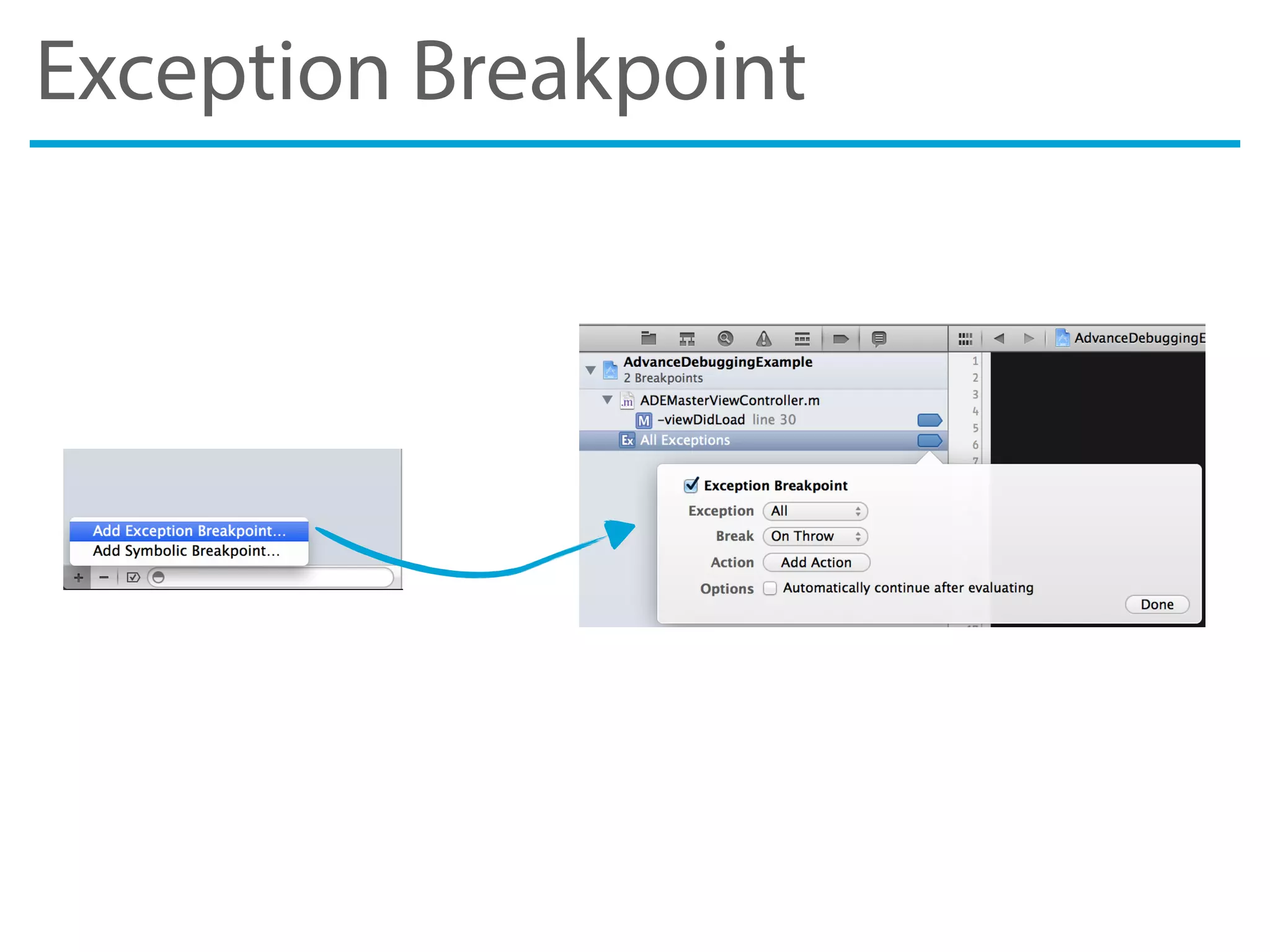 Exception Breakpoint
 
