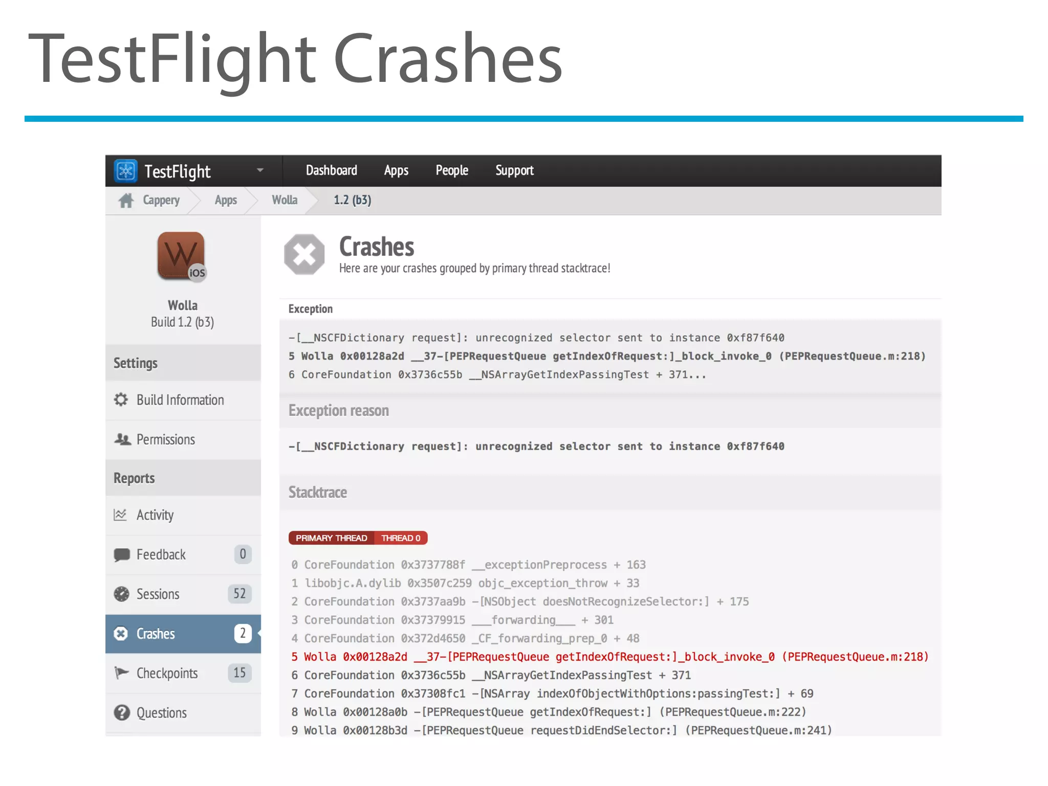 TestFlight Crashes
 