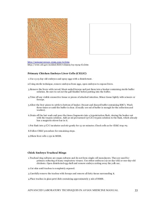 Echometer Model D Manual Lymphatic Drainage