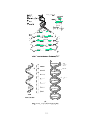 110
http://www.accessexcellence.org/RC/
DNA
http://www.accessexcellence.org/RC/
 