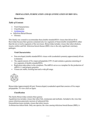 112
PROPAGATION, PURIFICATION AND QUANTIFICATION OF IBDV RNA
Birnaviridae
Table of Contents
• Viral Characteristics
• Classification
• Avibirnavirus
• Infectious Bursal Disease
• Glossary
This family was created to accommodate those double-stranded RNA viruses that did not fit in
Reoviridae because their genome contained only two segments of linear double-stranded RNA rather
than the ten to twelve segments of the reoviruses. Birnaviridae includes viruses that infect chickens,
insects, rotifers and fish. Infectious bursal disease (IBD) virus is the only significant veterinary
pathogen.
Viral Characteristics
• Non-enveloped, double stranded RNA viruses with icosahedral symmetry approximately 60 nm
in diameter.
• The capsid consists of five major polypeptides (VP1-5) and contains a genome consisting of
two segments of double-stranded RNA.
• Replication takes place in the cytoplasm. The dsRNA serves as a template for the production of
mRNA (+) and progeny genomes.
• Viruses are stable, resisting heat and a wide pH range.
Birnaviridae (approximately 60 nm). Nonenveloped, icosahedral capsid that consists of five major
polypeptides. To view click on figure
Classification
The family Birnaviridae contains three genera:
Aquabirnavirus includes viruses that infect fish, crustaceans and mollusks. Included is the virus that
causes infectious pancreatic necrosis of salmonoid fish.
Entomobirnaviruses includes viruses that infect insects.
Avibirnavirus infects birds. Only one species, the virus causing infectious bursal disease (IBD), is
 