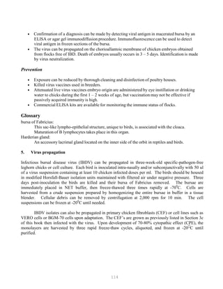 114
• Confirmation of a diagnosis can be made by detecting viral antigen in macerated bursa by an
ELISA or agar gel immunodiffusion procedure. Immunofluorescence can be used to detect
viral antigen in frozen sections of the bursa.
• The virus can be propagated on the chorioallantoic membrane of chicken embryos obtained
from flocks free of IBD. Death of embryos usually occurs in 3 – 5 days. Identification is made
by virus neutralization.
Prevention
• Exposure can be reduced by thorough cleaning and disinfection of poultry houses.
• Killed virus vaccines used in breeders.
• Attenuated live virus vaccines embryo origin are administered by eye instillation or drinking
water to chicks during the first 1 – 2 weeks of age, but vaccination may not be effective if
passively acquired immunity is high.
• Commercial ELISA kits are available for monitoring the immune status of flocks.
Glossary
bursa of Fabricius:
This sac-like lympho-epithelial structure, unique to birds, is associated with the cloaca.
Maturation of B lymphocytes takes place in this organ.
Harderian gland:
An accessory lacrimal gland located on the inner side of the orbit in reptiles and birds.
5. Virus propagation
Infectious bursal disease virus (IBDV) can be propagated in three-week-old specific-pathogen-free
leghorn chicks or cell culture. Each bird is inoculated intra-nasally and/or subconjunctivally with 50 ul
of a virus suspension containing at least 10 chicken infected doses per ml. The birds should be housed
in modified Horsfall-Bauer isolation units maintained with filtered air under negative pressure. Three
days post-inoculation the birds are killed and their bursa of Fabricius removed. The bursae are
immediately placed in NET buffer, then freeze-thawed three times rapidly at -700
C. Cells are
harvested from a crude suspension prepared by homogenizing the entire bursae in buffer in a tissue
blender. Cellular debris can be removed by centrifugation at 2,000 rpm for 10 min. The cell
suspensions can be frozen at -200
C until needed.
IBDV isolates can also be propagated in primary chicken fibroblasts (CEF) or cell lines such as
VERO cells or BGM-70 cells upon adaptation. The CEF’s are grown as previously listed in Section 3c
of this book then infected with the virus. Upon development of 70-80% cytopathic effect (CPE), the
monolayers are harvested by three rapid freeze-thaw cycles, aliquoted, and frozen at -20
C until
purified.
 