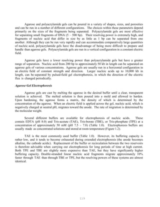 119
Agarose and polyacrylamide gels can be poured in a variety of shapes, sizes, and porosities
and can be run in a number of different configurations. The choices within these parameters depend
primarily on the sizes of the fragments being separated. Polyacrylamide gels are most effective
for separating small fragments of DNA (5 – 500 bp). Their resolving power is extremely high, and
fragments of nucleic acid that differ in size by as little as 1 bp can be separated from one
another. Although they can be run very rapidly and can accommodate comparatively large quantities
of nucleic acid, polyacrylamide gels have the disadvantage of being more difficult to prepare and
handle than agarose gels. Polyacrylamide gels are run in a vertical configuration in a constant electric
field.
Agarose gels have a lower resolving power than polyacrylamide gels but have a greater
range of separation. Nucleic acid from 200 bp to approximately 50 kb in length can be separated on
agarose gels of various concentrations. Agarose gels are usually run in a horizontal configuration in
an electric field of constant strength and direction. Larger nucleic acids up to 10,000 kb in
length, can be separated by pulsed-field gel electrophoresis, in which the direction of the electric
flux is changed periodically.
Agarose Gel Electrophoresis
Agarose gels are cast by melting the agarose in the desired buffer until a clear, transparent
solution is achieved. The melted solution is then poured into a mold and allowed to harden.
Upon hardening, the agarose forms a matrix, the density of which is determined by the
concentration of the agarose. When an electric field is applied across the gel, nucleic acid, which is
negatively charged at neutral pH, migrates toward the anode. The rate of migration is determined by
the molecular weight.
Several different buffers are available for electrophoresis of nucleic acids. These
contain EDTA (pH 8.0) and Tris-acetate (TAE), Tris-borate (TBE), or Tris-phosphate (TPE) at a
concentration of approximately 50 mM (pH 7.5 – 7.8) (Table 1.0). Electrophoresis buffers are
usually made as concentrated solutions and stored at room temperature (Figure 1.2).
TAE is the most commonly used buffer (Table 1.0). However, its buffering capacity is
rather low, and it tends to become exhausted during extended electrophoresis (the anode becomes
alkaline, the cathode acidic). Replacement of the buffer or recirculation between the two reservoirs
is therefore advisable when carrying out electrophoresis for long periods of time at high current.
Both TPE and TBE are slightly more expensive than TAE, but they have significantly higher
buffering capacity. Double-stranded linear nucleic acid fragments migrate approximately 10%
faster through TAE than through TBE or TPE, but the resolving powers of these systems are almost
identical.
 
