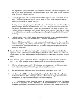 121
It is important to use the same batch of electrophoresis buffer in both the electrophoresis tank
and the gel. Small differences in ionic strength of pH create fronts in the gel that can greatly
affect the mobility of the fragments.
3. Loosely plug the neck of the Erlenmeyer flask with tissue paper such as Kimwipes®. When
using a glass bottle, make sure the cap is loose. Heat the slurry in a boiling-water bath or a
microwave oven until the agarose dissolves.
Wearing an oven mitt, gingerly swirl the bottle or flask from time to time to make sure that any
grains sticking to the walls enter the solution. Take care—the agarose solution can become
superheated and may boil violently if it has been heated for too long in the microwave oven.
Undissolved agarose appears as small “lenses” floating in the solution. Check that the volume
of the solution has not been decreased by evaporation during boiling; replenish with water, if
necessary.
4. Cool the solution to 60C, and, if desired, add ethidium bromide (from a stock solution of 10
mg/ml in water) to a final concentration of 0.5 g/ml and mix thoroughly.
Caution: Ethidium bromide is a powerful mutagen and is moderately toxic. Gloves should be
worn when working with solutions that contain this dye. Stock solutions of ethidium bromide
should be stored in light-tight containers (e.g., in a bottle completely wrapped in aluminum
foil) in the refrigerator.
5. Position the comb 0.5 – 1.0 mm above the plate so that a complete well is formed when the
agarose is added. If the comb is closer to the glass plate, there is a risk that the base of the well
may tear when the comb is withdrawn, allowing the sample to leak between the gel and the glass
plate.
5. Pour the warm agarose solution into the mold. The gel should be between 3 mm and 5 mm
thick. Check to see that there are no air bubbles under or between the teeth of the comb.
7. After the gel is completely set (30 – 45 minutes at room temperature), carefully remove the
comb and autoclave tape and mount the gel in the electrophoresis tank.
8. Add just enough electrophoresis buffer to cover the gel to a depth of about 1 mm.
9. Mix the samples of RNA with the desired gel-loading buffer (Table 1.1). Slowly load the
mixture into the slots of the submerged gel using a disposable micropipette, an automatic
micropipettor, or, if you have a very steady hand, a Pasteur pipette.
The maximum volume of solution that can be loaded is determined by the dimensions
of the slot. A typical slot [0.5 cm x 0.5 cm x 0.15 cm] will hold about 37.5 l. However, to
reduce the possibility of contaminating neighboring samples, it is best to make the gel a little
 