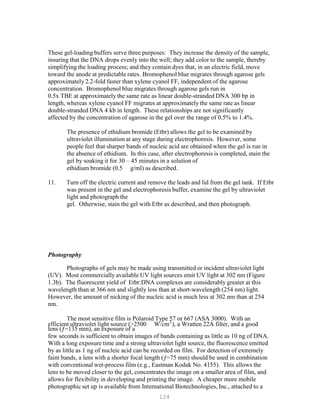 124
P
P
These gel-loading buffers serve three purposes: They increase the density of the sample,
insuring that the DNA drops evenly into the well; they add color to the sample, thereby
simplifying the loading process; and they contain dyes that, in an electric field, move
toward the anode at predictable rates. Bromophenol blue migrates through agarose gels
approximately 2.2-fold faster than xylene cyanol FF, independent of the agarose
concentration. Bromophenol blue migrates through agarose gels run in
0.5x TBE at approximately the same rate as linear double-stranded DNA 300 bp in
length, whereas xylene cyanol FF migrates at approximately the same rate as linear
double-stranded DNA 4 kb in length. These relationships are not significantly
affected by the concentration of agarose in the gel over the range of 0.5% to 1.4%.
The presence of ethidium bromide (Etbr) allows the gel to be examined by
ultraviolet illumination at any stage during electrophoresis. However, some
people feel that sharper bands of nucleic acid are obtained when the gel is run in
the absence of ethidium. In this case, after electrophoresis is completed, stain the
gel by soaking it for 30 – 45 minutes in a solution of
ethidium bromide (0.5 g/ml) as described.
11. Turn off the electric current and remove the leads and lid from the gel tank. If Etbr
was present in the gel and electrophoresis buffer, examine the gel by ultraviolet
light and photograph the
gel. Otherwise, stain the gel with Etbr as described, and then photograph.
Photography
Photographs of gels may be made using transmitted or incident ultraviolet light
(UV). Most commercially available UV light sources emit UV light at 302 nm (Figure
1.3b). The fluorescent yield of Etbr:DNA complexes are considerably greater at this
wavelength than at 366 nm and slightly less than at short-wavelength (254 nm) light.
However, the amount of nicking of the nucleic acid is much less at 302 nm than at 254
nm.
The most sensitive film is Polaroid Type 57 or 667 (ASA 3000). With an
efficient ultraviolet light source (>2500 W/cm2
), a Wratten 22A filter, and a good
lens (ƒ=135 mm), an exposure of a
few seconds is sufficient to obtain images of bands containing as little as 10 ng of DNA.
With a long exposure time and a strong ultraviolet light source, the fluorescence emitted
by as little as 1 ng of nucleic acid can be recorded on film. For detection of extremely
faint bands, a lens with a shorter focal length (ƒ=75 mm) should be used in combination
with conventional wet-process film (e.g., Eastman Kodak No. 4155). This allows the
lens to be moved closer to the gel, concentrates the image on a smaller area of film, and
allows for flexibility in developing and printing the image. A cheaper more mobile
photographic set up is available from International Biotechnologies, Inc., attached to a
 