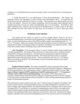 145
35
P P
32
conditions, in situ hybridizations are sensitive enough to detect virus-infected cells in a heterogeneous
population.
A simple derivation of in situ hybridization is tissue print hybridization. This elegant, fast
technique involves the imprinting of tissues directly onto nitrocellulose filters. It circumvents the
fixing, processing and sectioning of tissues on to slides. This procedure saves approximately two days
of time and reagents. However, the cellular morphology with this procedure cannot approach that of
standard processing of tissues for routine histopathologic and in situ procedures. Nevertheless, filter
paper containing tissue imprints can be processed for hybridization in a similar manor to dot blots.
This technique has been used mostly for rapid assay for the presence of virus in plant and animal
tissues.
HYBRIDIZATION PROBES
Any nucleic acid can suffice as a probe if it can be suitably labeled. However, the key to
successful hybridizations is associated with the preparation of a highly specific and strong nucleic acid
3 125
probe. In earlier hybridizations, nearly all the DNA and RNA probes were radiolabeled with P
P
H, P
P
I,
P
P
S, or P
P
P isotopes. Today, the concerns with safety and the problems of low-level radioactive isotope
disposal have resulted in increasing numbers of researchers switching to non-radioactive probes. Some
of the more common means of labeling nucleic acids will be described.
Nick Translation. In this procedure, Dnase I is used to introduce random single-stranded nicks
in double-stranded DNA. The enzyme DNA polymerase I is then used to remove stretches of single-
stranded DNA starting at the nicked site. The same enzyme simultaneously replaces the deleted
nucleotides with radioactively labeled nucleotides. This simple procedure results in a randomly
labeled DNA probe with high specific activity. DNAs with specific activities of 3 x 108
dpm/µg
DNA can routinely be obtained. One disadvantage is that nick translation generates short single-
stranded pieces of DNA.
Random Primed Labeling. The double-stranded DNA probes are denatured into single-
stranded DNAs and annealed to a mixture of random six-base pair long DNA fragments. Beginning at
the hexanucleotide bases, the complementary strand is synthesized using the Klenow enzyme. The
large or Klenow fragment of DNA polymerase I has DNA polymerase and 3’ -> 5’ exonuclease
activities, and is widely used in molecular biology. The function of DNA polymerases is to
synthesize complementary strands during DNA replication. Performing that task in the lab is integral
to such processes as synthesizing the second strand DNA in cDNA cloning and generating radioactive
probes for hybridization reactions.
DNA polymerases require a primer to provide a free 3’ hydroxyl group for initiation of synthesis. The
primers used for most in vitro polymerization reactions are single-stranded DNAs, typically 6 to 20
bases in length, called oligonucleotides. The oligonucleotides must be 145rthoreovirus to some section
of template DNA. To use Klenow to synthesize a complementary strand of DNA, one simply mixes
single-stranded template (usually denatured double-stranded DNA), primers and the enzyme in the
presence of an appropriate buffer (most restriction enzyme buffers work well). During second-strand
synthesis, radioactive deoxynucleoside triphosphates present in the reaction mixture are incorporated
 