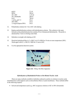 153
polyA 2.5 ul
tRNA 200 ul
20 x SSC 1.25 ml
50 x Denhardts 200 ul
HB
2BO 700 ul
1 mTris, pH 7.5 50 ul
20% SDS 25 ul
1.8 mg/ml Sperm DNA 50 ul
12. Prehybridize solution for 1 hr at 42C with shaking
13. Replace prehybridization solution with hybridization solution. This solution is the same
formula as the prehybridization but contains 50 ul of denatured labeled probe. The probe is
denatured by 5 min in a boiling water bath.
14. Hybridize overnight with shaking at 42C.
15. Wash the hybridized filter in 2 x SSCC in 0.1% SDS for 10 min at room temperature (20C).
Wash again with 0.1 x SSC/0.1 SDS for 15 min at 65C.
16. Use the appropriate detection system.
Figure 4.0. Filling Dot Blot Apparatus
Hybridization of Radiolabeled Probes to Dot Blotted Nucleic Acids
There are many methods available to hybridize radioactive probes in solution to nucleic acids
immobilized on solid supports such as nitrocellulose filters or nylon membranes. These methods differ
in the following respects:
• Solvent and temperature used (e.g., 68C in aqueous solution or 42C in 50% formamide)
 