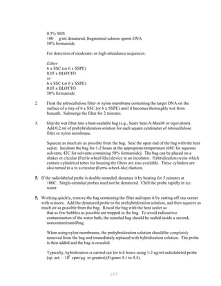 157
9
0.5% SDS
100 g/ml denatured, fragmented salmon sperm DNA
50% formamide
For detection of moderate- or high-abundance sequences:
Either
6 x SSC (or 6 x SSPE)
0.05 x BLOTTO
or
6 x SSC (or 6 x SSPE)
0.05 x BLOTTO
50% formamide
2. Float the nitrocellulose filter or nylon membrane containing the target DNA on the
surface of a tray of 6 x SSC (or 6 x SSPE) until it becomes thoroughly wet from
beneath. Submerge the filter for 2 minutes.
3. Slip the wet filter into a heat-sealable bag (e.g., Sears Seal-A-Meal® or equivalent).
Add 0.2 ml of prehybridization solution for each square centimeter of nitrocellulose
filter or nylon membrane.
Squeeze as much air as possible from the bag. Seal the open end of the bag with the heat
sealer. Incubate the bag for 1-2 hours at the appropriate temperature (68C for aqueous
solvents; 42C for solvents containing 50% formamide). The bag can be placed on a
shaker or circular (Ferris wheel-like) device in an incubator. Hybridization ovens which
contain cylindrical tubes for housing the filters are also available. These cylinders are
also turned in a in a circular (Ferris-wheel-like) fashion.
5. If the radiolabeled probe is double-stranded, denature it by heating for 5 minutes at
100C. Single-stranded probes need not be denatured. Chill the probe rapidly in ice
water.
5. Working quickly, remove the bag containing the filter and open it by cutting off one corner
with scissors. Add the denatured probe to the prehybridization solution, and then squeeze as
much air as possible from the bag. Reseal the bag with the heat sealer so
that as few bubbles as possible are trapped in the bag. To avoid radioactive
contamination of the water bath, the resealed bag should be sealed inside a second,
noncontaminated bag.
When using nylon membranes, the prehybridization solution should be completely
removed from the bag and immediately replaced with hybridization solution. The probe
is then added and the bag is resealed.
Typically, hybridization is carried out for 6-8 hours using 1-2 ng/ml radiolabeled probe
(sp. act. – 10P
P
cpm/µg or greater) (Figures 4.1 to 4.4).
 