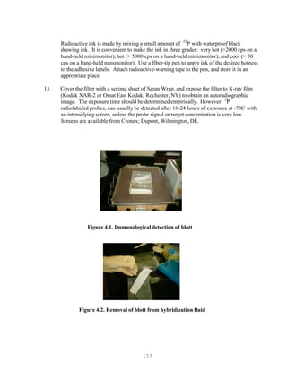 159
32
Radioactive ink is made by mixing a small amount of P
P
P with waterproof black
drawing ink. It is convenient to make the ink in three grades: very hot (>2000 cps on a
hand-held minimonitor), hot (> 5000 cps on a hand-held minimonitor), and cool (> 50
cps on a hand-held minimonitor). Use a fiber-tip pen to apply ink of the desired hotness
to the adhesive labels. Attach radioactive-warning tape to the pen, and store it in an
appropriate place.
13. Cover the filter with a second sheet of Saran Wrap, and expose the filter to X-ray film
(Kodak XAR-2 or Omat East Kodak, Rochester, NY) to obtain an autoradiographic
32
image. The exposure time should be determined empirically. However P
P
P
radiolabeled probes, can usually be detected after 16-24 hours of exposure at -70C with
an intensifying screen, unless the probe signal or target concentration is very low.
Screens are available from Cronex; Dupont, Wilmington, DE.
Figure 4.1. Immunological detection of blott
Figure 4.2. Removal of blott from hybridization fluid
 