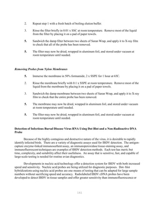 161
2. Repeat step 1 with a fresh batch of boiling elution buffer.
3. Rinse the filter briefly in 0.01 x SSC at room temperature. Remove most of the liquid
from the filter by placing it on a pad of paper towels.
5. Sandwich the damp filter between two sheets of Saran Wrap, and apply it to X-ray film
to check that all of the probe has been removed.
5. The filter may now be dried, wrapped in aluminum foil, and stored under vacuum at
room temperature until needed.
Removing Probes from Nylon Membranes
5. Immerse the membrane in 50% formamide, 2 x SSPE for 1 hour at 65C.
2. Rinse the membrane briefly with 0.1 x SSPE at room temperature. Remove most of the
liquid from the membrane by placing it on a pad of paper towels.
3. Sandwich the damp membrane between two sheets of Saran Wrap, and apply it to X-ray
film to check that the entire probe has been removed.
5. The membrane may now be dried, wrapped in aluminum foil, and stored under vacuum
at room temperature until needed.
5. The filter may now be dried, wrapped in aluminum foil, and stored under vacuum at
room temperature until needed.
Detection of Infectious Bursal Disease Virus RNA Using Dot Blot and a Non-Radioactive DNA
Probe
Because of the highly contagious and destructive nature of the virus, it is desirable to rapidly
identify infected birds. There are a variety of diagnostic assays used for IBDV detection. The antigen-
capture enzyme-linked immunosorbent assay, an immunoperoxidase tissue-staining assay, and
immunofluorescent techniques are examples of IBDV detection methods. Each test has merit; but
time, complexity, and suitability affect their usefulness. An assay that is sensitive, fast, and capable of
large-scale testing is needed for routine avian diagnostics.
Developments in nucleic acid technology offer a detection system for IBDV with both increased
speed and sensitivity. Nucleic acid probes are being utilized for diagnostic purposes. Dot- blot
hybridizations using nucleic acid probes are one means of testing that can be adapted for large sample
numbers without sacrificing speed and accuracy. Radiolabeled IBDV cDNA probes have been
developed to detect IBDV in tissue samples and offer greater sensitivity than immunofluorescence or
 
