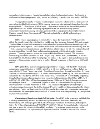 162
P
P
agar gel precipitation assays. Nonetheless, radiolabeled probes have disadvantages that limit their
usefulness; radioisotopes present a safety hazard, are relatively expensive, and have a short shelf-life.
These problems can be overcome by utilizing non-radioactive labeled probes. One source of
non-radioactive label is digoxigenin (DIG), a steroid hapten and a derivative of the cardiac glycoside
drug digilanide C. Digoxigenin is linked by an 11-base spacer arm to the nucleotide deoxyuridine
triphosphate (dUTP). Probes containing digoxigenin-dUTP can be visualized by specific
immunoenzymatic staining using anti-digoxigenin antibodies conjugated to alkaline phosphatase.
Previous research found Digoxigenin-dUTP-labeled probes to be as reliable and sensitive as
radioactive ones.
IBDV viruses are propagated in primary CEFs. Upon development of 50-70% cytopathic
effect, the monolayers are harvested by three rapid freeze-thaw cycle and frozen at -20C until needed.
Virulent IBDV strains which are not cell-culture-adapted are propagated in three-week-old specific-
pathogen-free white leghorns. Each chicken is inoculated intra-nasally and subconjunctivally with 50
l of a virus suspension containing at least 105
chicken infective doses per ml. The birds are housed
in separate modified Horsfall-Bauer isolation units maintained with filtered air under negative
pressure. Three days post-inoculation, the birds are killed and bursae removed. The bursae are
immediately placed in NET buffer (10 mM Tris [pH 8.0], 100 mM NaCl, 1 mM EDTA). Cells are
harvested from intact bursae either by scraping a cut surface of the organ or from a crude suspension
prepared by homogenizing an entire bursa in buffer. The cell suspension is then frozen at -20C until
needed.
RNA extraction. Bursal homogenates or pooled CEFs infected with the IBDV strains are
concentrated by centrifugation at 50,000 x g for 3 hr at 4 C over a 40% sucrose cushion. Pellets are
suspended in NET and Freon-extracted (1,1,2-trichlorotrifluoroethane; Sigma Chemical Co., St. Louis,
Missouri) to release intact virions (12). A second centrifugation at 50,000 x g for 3 hr is performed to
concentrate the virus before extraction of the nucleic acid. The viral RNA is extracted by suspending
the pellet from the second centrifugation in an extraction buffer containing 10 mM Tris (pH 7.5), 10
mM NaCl, 10 mM EDTA, 0.2% sodium dodecyl sulfate (SDS), and 0.1% diethylpyrocarbonate and
incubating for 1 hr at 37 C. Proteinase K (Sigma) is added at a concentration of 1 mg/ml and
incubated for an additional 30 minutes at 37 C. Two consecutive hot phenol:chloroform (1:1)
extractions are performed, and the double-stranded RNA recovered from the aqueous phase by ethanol
precipitation. Further purification of the viral RNA can be determined after examination by agar gel
electrophoresis and spectrophotometric analysis. If needed it can be accomplished by LiCl precipitation
as previously described.
Preparation of digoxigenin-labeled cDNA probe. The cDNA probe is prepared and labeled in
a one-step process using M-MLV reverse transcriptase (Bethesda Research Laboratories, Inc.,
Gaithersburg, MD) and digoxigenin-11-dUTP (Boehringer-Mannheim Biochemicals, Indianapolis,
Ind.). An 18-base oligonucleotide, 5’TGGAGCATAGCCATAGAC-3’, is synthetically synthesized
and used as a specific primer to initiate cDNA synthesis. The sequence is complementary to the
positive strand of the VP-4 region of the viral genome, bases 1821-1839, of an Australian strain of
IBDV.
 