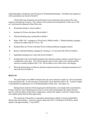 164
P P
indolyl phosphate, toluidinium salt (50 mg/ml in 70 dimethylformamide). All buffers and reagents as
well as procedures are found in the Kit®.
All the following incubations are performed at room temperature and except for the color
reaction with shaking or mixing. The volumes of the solutions are calculated for a filter size of 100
cm2
and should be adjusted to other filter sizes.
5. Wash filters briefly (1 min) in buffer 1.
2. Incubate for 30 min with about 100 ml buffer 2.
3. After the blocking step, wash briefly in buffer 1.
5. Dilute <DIG>AP—conjugate to 150 mU/ml (1:5000) in buffer 1. Diluted antibody conjugate
solutions are stable only for 12 hr at +4C.
5. Incubate filters for 30 min with about 20 ml of diluted antibody-conjugate solution.
5. Remove unbound antibody conjugate by washing 2 x 15 min each with 100 ml of buffer 1.
7. Equilibrate membrane for 2 min with 20 ml of buffer 3.
8. Incubate filter with 10 ml freshly prepared color-substrate solution sealed in a plastic bag or in
a suitable box in the dark. The color precipitate starts to form within a few minutes and the
reaction is usually complete after 12 hr. Do not shake or mix while color is developing.
9. When the desired spots or bands are detected, stop the reaction by washing the membrane for 5
min with 50 ml of buffer 4.
RESULTS
The probe binds to the IBDV-infected cells and can be detected visually by color development
in the associated wells. In most instances, bound probe can be detected within 3 hr. A positive signal
is identified by the appearance of a well-defined purple-to-blue color. See Figure 2.6.
Background is minimal with the digoxigenin-labeled probe, even at high probe concentrations.
In those instances where background occurred, it can be easily distinguished; the signals from the
positive wells are darker, almost black in appearance, whereas the negative wells are a shade of gray
only slightly darker than the filter paper alone.
The sensitivity of the probe is examined by determining its ability to detect purified RNA
filtered onto nitrocellulose. A positive signal is observed in the 1:128 dilution of the RNA, which
equates with approximately 1.7 ng of RNA.
 