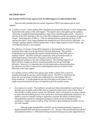 166
SOUTHERN BLOT
The Transfer of DNA From Agarose Gels To Solid Supports is Called Southern Blot.
There are three methods that can transfer fragments of DNA from agarose gels to solid
supports:
5. Capillary transfer. In this method, DNA fragments are carried from the gel in a flow of liquid and
deposited on the surface of the solid support. The liquid is drawn through the gel by capillary
action that is established and maintained by a stack of dry, absorbent paper towels. The rate of
transfer of the DNA depends on the size of the DNA fragments and the concentration of agarose in
the gel. Small fragments of DNA (< 1 kb) are transferred almost quantitatively from a 0.8%
agarose gel within 1 hour; larger fragments are transferred more slowly and less efficiently. For
example, capillary transfer of DNAs greater than 15 kb in length requires at least 18 hours, and
even then the transfer is not complete.
The efficiency of transfer of large DNA fragments is determined by the fraction of
molecules that escape from the gel before it becomes dehydrated. This problem
of dehydration can be partially alleviated by partial hydrolysis of the DNA prior to
capillary transfer. The DNA in the gel is exposed to weak acid (which results in
partial depurination), followed by strong base (which hydrolyzes the
phosphodiester backbone at the sites of depurination). The resulting fragments of
DNA (1 kb in length) can then be transferred rapidly from the gel with high
efficiency. However, it is important not to let the depurination reaction proceed too
far; otherwise, the DNA is cleaved into small fragments that are too short to bind
efficiently to the solid support.
For capillary transfer of DNA from agarose gels, buffer is drawn from a reservoir
and passed through the gel into a stack of paper towels. The DNA is eluted from the
gel by the moving stream of buffer and is deposited on a nitrocellulose filter or
nylon membrane. A weight applied to the top of the paper towels helps to ensure
a tight connection between the layers of material used in the transfer system.
2. Electrophoretic transfer. This method is not practical when nitrocellulose is used because of
the high ionic strengths of the buffers that are required to bind nucleic acids to these filters.
These buffers conduct electric current very efficiently, and it is necessary to use large volumes
to ensure that the buffering power of the system does not become depleted by electrolysis. In
addition, extensive external cooling is required to overcome the effects of ohmic heating.
Electrophoretic transfer has undergone resurgence with the advent of charged nylon
membranes. Nucleic acids as small as 50 bp will bind to these membranes in buffers of very
low ionic strength.
Although single-stranded DNA and RNA can be transferred directly, fragments of
double-stranded DNA must first be denatured in situ. The gel is then neutralized and soaked in
electrophoresis buffer (1 x TBE) before being mounted between porous pads aligned between
 