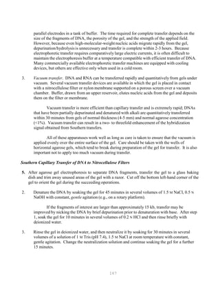 167
parallel electrodes in a tank of buffer. The time required for complete transfer depends on the
size of the fragments of DNA, the porosity of the gel, and the strength of the applied field.
However, because even high-molecular-weight nucleic acids migrate rapidly from the gel,
depurination/hydrolysis is unnecessary and transfer is complete within 2-3 hours. Because
electrophoretic transfer requires comparatively large electric currents, it is often difficult to
maintain the electrophoresis buffer at a temperature compatible with efficient transfer of DNA.
Many commercially available electrophoretic transfer machines are equipped with cooling
devices, but others are effective only when used in a cold room.
3. Vacuum transfer. DNA and RNA can be transferred rapidly and quantitatively from gels under
vacuum. Several vacuum transfer devices are available in which the gel is placed in contact
with a nitrocellulose filter or nylon membrane supported on a porous screen over a vacuum
chamber. Buffer, drawn from an upper reservoir, elutes nucleic acids from the gel and deposits
them on the filter or membrane.
Vacuum transfer is more efficient than capillary transfer and is extremely rapid; DNAs
that have been partially depurinated and denatured with alkali are quantitatively transferred
within 30 minutes from gels of normal thickness (4-5 mm) and normal agarose concentration
(<1%). Vacuum transfer can result in a two- to threefold enhancement of the hybridization
signal obtained from Southern transfers.
All of these apparatuses work well as long as care is taken to ensure that the vacuum is
applied evenly over the entire surface of the gel. Care should be taken with the wells of
horizontal agarose gels, which tend to break during preparation of the gel for transfer. It is also
important not to apply too much vacuum during transfer.
Southern Capillary Transfer of DNA to Nitrocellulose Filters
5. After agarose gel electrophoresis to separate DNA fragments, transfer the gel to a glass baking
dish and trim away unused areas of the gel with a razor. Cut off the bottom left-hand corner of the
gel to orient the gel during the succeeding operations.
2. Denature the DNA by soaking the gel for 45 minutes in several volumes of 1.5 M NaCl, 0.5 N
NaOH with constant, gentle agitation (e.g., on a rotary platform).
If the fragments of interest are larger than approximately 15 kb, transfer may be
improved by nicking the DNA by brief depurination prior to denaturation with base. After step
1, soak the gel for 10 minutes in several volumes of 0.2 N HCl and then rinse briefly with
deionized water.
3. Rinse the gel in deionized water, and then neutralize it by soaking for 30 minutes in several
volumes of a solution of 1 M Tris (pH 7.4), 1.5 M NaCl at room temperature with constant,
gentle agitation. Change the neutralization solution and continue soaking the gel for a further
15 minutes.
 