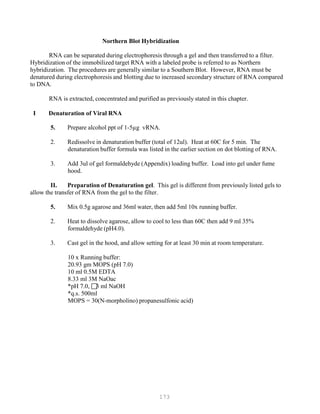 173
Northern Blot Hybridization
RNA can be separated during electrophoresis through a gel and then transferred to a filter.
Hybridization of the immobilized target RNA with a labeled probe is referred to as Northern
hybridization. The procedures are generally similar to a Southern Blot. However, RNA must be
denatured during electrophoresis and blotting due to increased secondary structure of RNA compared
to DNA.
RNA is extracted, concentrated and purified as previously stated in this chapter.
I Denaturation of Viral RNA
5. Prepare alcohol ppt of 1-5µg vRNA.
2. Redissolve in denaturation buffer (total of 12ul). Heat at 60C for 5 min. The
denaturation buffer formula was listed in the earlier section on dot blotting of RNA.
3. Add 3ul of gel formaldehyde (Appendix) loading buffer. Load into gel under fume
hood.
II. Preparation of Denaturation gel. This gel is different from previously listed gels to
allow the transfer of RNA from the gel to the filter.
5. Mix 0.5g agarose and 36ml water, then add 5ml 10x running buffer.
2. Heat to dissolve agarose, allow to cool to less than 60C then add 9 ml 35%
formaldehyde (pH4.0).
3. Cast gel in the hood, and allow setting for at least 30 min at room temperature.
10 x Running buffer:
20.93 gm MOPS (pH 7.0)
10 ml 0.5M EDTA
8.33 ml 3M NaOac
*pH 7.0, 3 ml NaOH
*q.s. 500ml
MOPS = 30(N-morpholino) propanesulfonic acid)
 