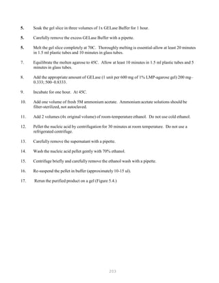 203
5. Soak the gel slice in three volumes of 1x GELase Buffer for 1 hour.
5. Carefully remove the excess GELase Buffer with a pipette.
5. Melt the gel slice completely at 70C. Thoroughly melting is essential-allow at least 20 minutes
in 1.5 ml plastic tubes and 10 minutes in glass tubes.
7. Equilibrate the molten agarose to 45C. Allow at least 10 minutes in 1.5 ml plastic tubes and 5
minutes in glass tubes.
8. Add the appropriate amount of GELase (1 unit per 600 mg of 1% LMP-agarose gel) 200 mg–
0.333; 500–0.8333.
9. Incubate for one hour. At 45C.
10. Add one volume of fresh 5M ammonium acetate. Ammonium acetate solutions should be
filter-sterilized, not autoclaved.
11. Add 2 volumes (4x original volume) of room-temperature ethanol. Do not use cold ethanol.
12. Pellet the nucleic acid by centrifugation for 30 minutes at room temperature. Do not use a
refrigerated centrifuge.
13. Carefully remove the supernatant with a pipette.
14. Wash the nucleic acid pellet gently with 70% ethanol.
15. Centrifuge briefly and carefully remove the ethanol wash with a pipette.
16. Re-suspend the pellet in buffer (approximately 10-15 ul).
17. Rerun the purified product on a gel (Figure 5.4.)
 