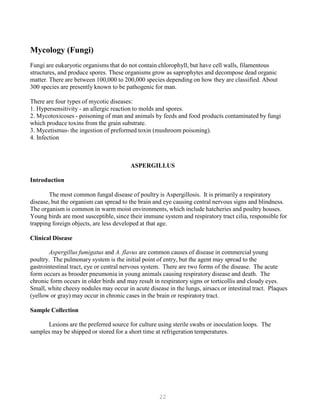 22
Mycology (Fungi)
Fungi are eukaryotic organisms that do not contain chlorophyll, but have cell walls, filamentous
structures, and produce spores. These organisms grow as saprophytes and decompose dead organic
matter. There are between 100,000 to 200,000 species depending on how they are classified. About
300 species are presently known to be pathogenic for man.
There are four types of mycotic diseases:
1. Hypersensitivity - an allergic reaction to molds and spores.
2. Mycotoxicoses - poisoning of man and animals by feeds and food products contaminated by fungi
which produce toxins from the grain substrate.
3. Mycetismus- the ingestion of preformed toxin (mushroom poisoning).
4. Infection
ASPERGILLUS
Introduction
The most common fungal disease of poultry is Aspergillosis. It is primarily a respiratory
disease, but the organism can spread to the brain and eye causing central nervous signs and blindness.
The organism is common in warm moist environments, which include hatcheries and poultry houses.
Young birds are most susceptible, since their immune system and respiratory tract cilia, responsible for
trapping foreign objects, are less developed at that age.
Clinical Disease
Aspergillus fumigatus and A. flavus are common causes of disease in commercial young
poultry. The pulmonary system is the initial point of entry, but the agent may spread to the
gastrointestinal tract, eye or central nervous system. There are two forms of the disease. The acute
form occurs as brooder pneumonia in young animals causing respiratory disease and death. The
chronic form occurs in older birds and may result in respiratory signs or torticollis and cloudy eyes.
Small, white cheesy nodules may occur in acute disease in the lungs, airsacs or intestinal tract. Plaques
(yellow or gray) may occur in chronic cases in the brain or respiratory tract.
Sample Collection
Lesions are the preferred source for culture using sterile swabs or inoculation loops. The
samples may be shipped or stored for a short time at refrigeration temperatures.
 