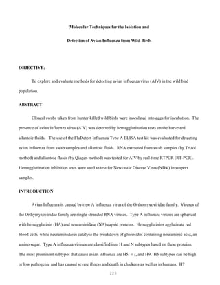 223
Molecular Techniques for the Isolation and
Detection of Avian Influenza from Wild Birds
OBJECTIVE:
To explore and evaluate methods for detecting avian influenza virus (AIV) in the wild bird
population.
ABSTRACT
Cloacal swabs taken from hunter-killed wild birds were inoculated into eggs for incubation. The
presence of avian influenza virus (AIV) was detected by hemagglutination tests on the harvested
allantoic fluids. The use of the FluDetect Influenza Type A ELISA test kit was evaluated for detecting
avian influenza from swab samples and allantoic fluids. RNA extracted from swab samples (by Trizol
method) and allantoic fluids (by Qiagen method) was tested for AIV by real-time RTPCR (RT-PCR).
Hemagglutination inhibition tests were used to test for Newcastle Disease Virus (NDV) in suspect
samples.
INTRODUCTION
Avian Influenza is caused by type A influenza virus of the Orthomyxoviridae family. Viruses of
the Orthymyxoviridae family are single-stranded RNA viruses. Type A influenza virions are spherical
with hemagglutinin (HA) and neuraminidase (NA) capsid proteins. Hemagglutinins agglutinate red
blood cells, while neuraminidases catalyse the breakdown of glucosides containing neuraminic acid, an
amino sugar. Type A influenza viruses are classified into H and N subtypes based on these proteins.
The most prominent subtypes that cause avian influenza are H5, H7, and H9. H5 subtypes can be high
or low pathogenic and has caused severe illness and death in chickens as well as in humans. H7
 