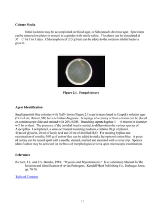 23
Culture Media
Initial isolation may be accomplished on blood agar, or Sabouraud's dextrose agar. Specimens
can be smeared on plates or minced in a grinder with sterile saline. The plates can be inoculated at
37 C for 1 to 3 days. Chloramphenicol (0.5 g/liter) can be added to the media to inhibit bacteria
growth.
Figure 2.1. Fungal culture
Agent Identification
Small greenish blue colonies with fluffy down (Figure 2.1) can be transferred to Czapek's solution agar
(Difco Lab, Detroit, MI) for a definitive diagnosis. Scrapings of a colony or from a lesion can be placed
on a microscope slide and stained with 20% KOH. Branching septate hyphae 4 — 6 micron in diameter
will be evident. The presence of the conidial head is needed to differentiate the various species of
Aspergillus. Lactophenol, a semi-permanent mounting medium, contains 20 gr of phenol,
40 ml of glycerin, 20 ml of lactic acid and 20 ml of distilled HB
2BO. For staining hyphae and
examination of conidia, 0.05 g of cotton blue can be added to make lactophenol cotton blue. A piece
of colony can be teased apart with a needle, stained, marked and mounted with a cover slip. Species
identification may be achieved on the basis of morphological criteria upon microscopic examination.
References
Richard, J.L. and E.S. Beneke, 1989. "Mycosis and Mycotoxicosis." In a Laboratory Manual for the
Isolation and identification of Avian Pathogens. Kendall/Hunt Publishing Co., Dubuque, Iowa,
pp. 70-76.
UTable of Contents
 