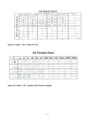235
Figure 9: Table 1 - HA –esults (2/17/11)
Figure 10: Table 2 - HA –itration of HA Positive Samples
 