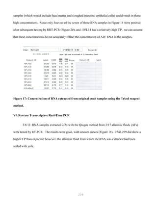239
samples (which would include fecal matter and sloughed intestinal epithelial cells) could result in these
high concentrations. Since only four out of the seven of these RNA samples in Figure 14 were positive
after subsequent testing by RRT-PCR (Figure 20); and 10FL14 had a relatively high CP , we can assume
that these concentrations do not accurately reflect the concentration of AIV RNA in the samples.
Figure 17: Concentration of RNA extracted from original swab samples using the Trizol reagent
method.
VI. Reverse Transcriptase Real-Time PCR
3/8/11: RNA samples extracted 2/24 with the Qiagen method from 2/17 allantoic fluids (AFs)
were tested by RT-PCR. The results were good, with smooth curves (Figure 18). 07AL299 did show a
higher CP than expected; however, the allantoic fluid from which the RNA was extracted had been
soiled with yolk.
 