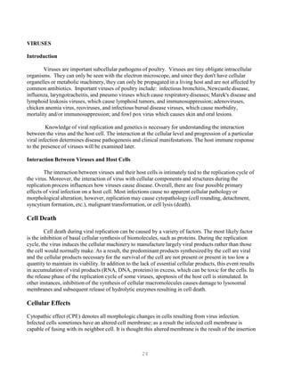 24
VIRUSES
Introduction
Viruses are important subcellular pathogens of poultry. Viruses are tiny obligate intracellular
organisms. They can only be seen with the electron microscope, and since they don't have cellular
organelles or metabolic machinery, they can only be propagated in a living host and are not affected by
common antibiotics. Important viruses of poultry include: infectious bronchitis, Newcastle disease,
influenza, laryngotracheitis, and pneumo viruses which cause respiratory diseases; Marek's disease and
lymphoid leukosis viruses, which cause lymphoid tumors, and immunosuppression; adenoviruses,
chicken anemia virus, reoviruses, and infectious bursal disease viruses, which cause morbidity,
mortality and/or immunosuppression; and fowl pox virus which causes skin and oral lesions.
Knowledge of viral replication and genetics is necessary for understanding the interaction
between the virus and the host cell. The interaction at the cellular level and progression of a particular
viral infection determines disease pathogenesis and clinical manifestations. The host immune response
to the presence of viruses will be examined later.
Interaction Between Viruses and Host Cells
The interaction between viruses and their host cells is intimately tied to the replication cycle of
the virus. Moreover, the interaction of virus with cellular components and structures during the
replication process influences how viruses cause disease. Overall, there are four possible primary
effects of viral infection on a host cell. Most infections cause no apparent cellular pathology or
morphological alteration; however, replication may cause cytopathology (cell rounding, detachment,
syncytium formation, etc.), malignant transformation, or cell lysis (death).
Cell Death
Cell death during viral replication can be caused by a variety of factors. The most likely factor
is the inhibition of basal cellular synthesis of biomolecules, such as proteins. During the replication
cycle, the virus induces the cellular machinery to manufacture largely viral products rather than those
the cell would normally make. As a result, the predominant products synthesized by the cell are viral
and the cellular products necessary for the survival of the cell are not present or present in too low a
quantity to maintain its viability. In addition to the lack of essential cellular products, this event results
in accumulation of viral products (RNA, DNA, proteins) in excess, which can be toxic for the cells. In
the release phase of the replication cycle of some viruses, apoptosis of the host cell is stimulated. In
other instances, inhibition of the synthesis of cellular macromolecules causes damage to lysosomal
membranes and subsequent release of hydrolytic enzymes resulting in cell death.
Cellular Effects
Cytopathic effect (CPE) denotes all morphologic changes in cells resulting from virus infection.
Infected cells sometimes have an altered cell membrane; as a result the infected cell membrane is
capable of fusing with its neighbor cell. It is thought this altered membrane is the result of the insertion
 