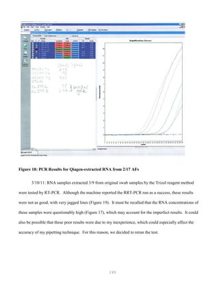 240
Figure 18: PCR Results for Qiagen-extracted RNA from 2/17 AFs
3/10/11: RNA samples extracted 3/9 from original swab samples by the Trizol reagent method
were tested by RT-PCR. Although the machine reported the RRT-PCR run as a success, these results
were not as good, with very jagged lines (Figure 19). It must be recalled that the RNA concentrations of
these samples were questionably high (Figure 17), which may account for the imperfect results. It could
also be possible that these poor results were due to my inexperience, which could especially affect the
accuracy of my pipetting technique. For this reason, we decided to rerun the test.
 