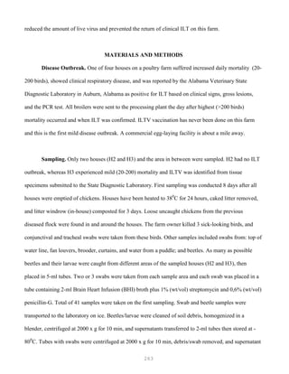 263
reduced the amount of live virus and prevented the return of clinical ILT on this farm.
MATERIALS AND METHODS
Disease Outbreak. One of four houses on a poultry farm suffered increased daily mortality (20-
200 birds), showed clinical respiratory disease, and was reported by the Alabama Veterinary State
Diagnostic Laboratory in Auburn, Alabama as positive for ILT based on clinical signs, gross lesions,
and the PCR test. All broilers were sent to the processing plant the day after highest (>200 birds)
mortality occurred and when ILT was confirmed. ILTV vaccination has never been done on this farm
and this is the first mild disease outbreak. A commercial egg-laying facility is about a mile away.
Sampling. Only two houses (H2 and H3) and the area in between were sampled. H2 had no ILT
outbreak, whereas H3 experienced mild (20-200) mortality and ILTV was identified from tissue
specimens submitted to the State Diagnostic Laboratory. First sampling was conducted 8 days after all
houses were emptied of chickens. Houses have been heated to 380
C for 24 hours, caked litter removed,
and litter windrow (in-house) composted for 3 days. Loose uncaught chickens from the previous
diseased flock were found in and around the houses. The farm owner killed 3 sick-looking birds, and
conjunctival and tracheal swabs were taken from these birds. Other samples included swabs from: top of
water line, fan louvers, brooder, curtains, and water from a puddle; and beetles. As many as possible
beetles and their larvae were caught from different areas of the sampled houses (H2 and H3), then
placed in 5-ml tubes. Two or 3 swabs were taken from each sample area and each swab was placed in a
tube containing 2-ml Brain Heart Infusion (BHI) broth plus 1% (wt/vol) streptomycin and 0,6% (wt/vol)
penicillin-G. Total of 41 samples were taken on the first sampling. Swab and beetle samples were
transported to the laboratory on ice. Beetles/larvae were cleaned of soil debris, homogenized in a
blender, centrifuged at 2000 x g for 10 min, and supernatants transferred to 2-ml tubes then stored at -
800
C. Tubes with swabs were centrifuged at 2000 x g for 10 min, debris/swab removed, and supernatant
 