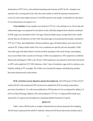 265
denaturation at 950
C for 0 s, and combined annealing and extension at 600
C for 60 s. Samples were
reported with a crossing point (Cp) value, the cycle number at which the specimen tested positive.
Lower Cp value means higher amount of viral DNA present in the sample. A threshold Cp value above
35 was determined to be negative (11).
Virus isolation. Frozen samples were thawed at 370
C for 1 min and kept on ice. Eleven-day old
embryonated eggs were prepared for inoculation on the artificially dropped chorio-allantoic membrane
(CAM). Eggs were inoculated with 0.2 mL/egg of thawed sample using a syringe fitted with a needle
into the false air cell directly over the CAM. Inoculated eggs were positioned horizontally, incubated at
370
C for 5-7 days, and candled daily. During incubation, eggs with dead embryos were removed and
stored at 40
C. Embryo deaths within 24 hr were considered non-specific and were discarded. CAMs
from other eggs with dead embryos were harvested by grasping it with sterile forceps, and stripping
away excess fluids with a second set of forceps. CAMs were prepared as a 10% suspension in antibiotic
diluent and centrifuged at 1500 x g for 20 min. CAM suspensions were placed in sterile tubes and stored
at -800
C until needed for ILTV DNA detection. After 7 days of incubation, eggs with live embryos were
killed by chilling at 40
C overnight. The CAMs were examined for plaques and thickening and then
harvested and processed as done before.
PCR, restriction enzyme digestion and gel electrophoresis. The ICP4 genes (4.9 kb) of ILTV
isolates (H3/S21 and commercial CEO vaccine) were amplified by PCR according to procedures
previously described (3, 11), with some modifications. PCR product (16 ul) was digested by adding 2 ul
(20 U) of MspI (Promega, Madison, WI), and incubated in 370
C for 1 h. Digested DNA bands were
analyzed by 2% agarose gel electrophoresis containing ethidium bromide (0.5 ug/ml).
RESULTS
Table 1 shows rtPCR results on samples collected from two houses during the first sampling.
The H3 house experienced the mild ILT outbreak; whereas the H2 house had normal mortality and no
 