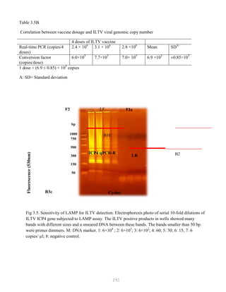 291
Table 3.5B.
Correlation between vaccine dosage and ILTV viral genomic copy number
4 doses of ILTV vaccine
Real-time PCR (copies/4
doses)
2.4 × 106
3.1 × 106
2.8 ×106
Mean SDA
Conversion factor
(copies/dose)
6.0×105
7.7×105
7.0× 105
6.9 ×105
±0.85×105
1 dose ≈ (6.9 ± 0.85) × 105
copies
A: SD= Standard deviation
Fig 3.5. Sensitivity of LAMP for ILTV detection. Electrophoresis photo of serial 10-fold dilutions of
ILTV ICP4 gene subjected to LAMP assay. The ILTV positive products in wells showed many
bands with different sizes and a smeared DNA between these bands. The bands smaller than 50 bp
were primer dimmers. M: DNA marker. 1: 6×104
; 2: 6×103
; 3: 6×102
; 4: 60; 5: 30; 6: 15; 7: 6
copies/ µl; 8: negative control.
ICP4 qPCR-R
F2
B3c
F1c
B1C
B2LB
LF
Cycles
Fluorescence(530nm)
bp
1000
750
500
300
150
50
 