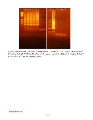 293
Fig 3.10. Specificity of LAMP assay. M: DNA marker; 1: AviPro®
LT; 2: LT Blen®
; 3: Laryngo-Vac®
;
4: Trachivax®
; 5: LT-IVAX®
; 6: MycoVac-L®
; 7: Negative control; 8: LT Blen®
; 9: Chicken –N-PoxTM
TC; 10: MD-Vac®
CFL; 11: Negative control.
Table of Contents
 