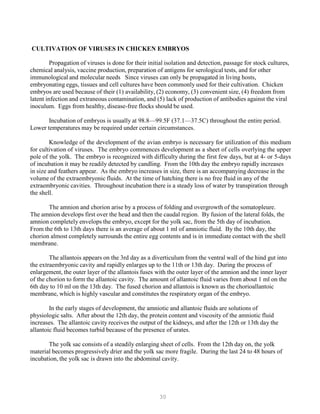 30
CULTIVATION OF VIRUSES IN CHICKEN EMBRYOS
Propagation of viruses is done for their initial isolation and detection, passage for stock cultures,
chemical analysis, vaccine production, preparation of antigens for serological tests, and for other
immunological and molecular needs Since viruses can only be propagated in living hosts,
embryonating eggs, tissues and cell cultures have been commonly used for their cultivation. Chicken
embryos are used because of their (1) availability, (2) economy, (3) convenient size, (4) freedom from
latent infection and extraneous contamination, and (5) lack of production of antibodies against the viral
inoculum. Eggs from healthy, disease-free flocks should be used.
Incubation of embryos is usually at 98.8—99.5F (37.1—37.5C) throughout the entire period.
Lower temperatures may be required under certain circumstances.
Knowledge of the development of the avian embryo is necessary for utilization of this medium
for cultivation of viruses. The embryo commences development as a sheet of cells overlying the upper
pole of the yolk. The embryo is recognized with difficulty during the first few days, but at 4- or 5-days
of incubation it may be readily detected by candling. From the 10th day the embryo rapidly increases
in size and feathers appear. As the embryo increases in size, there is an accompanying decrease in the
volume of the extraembryonic fluids. At the time of hatching there is no free fluid in any of the
extraembryonic cavities. Throughout incubation there is a steady loss of water by transpiration through
the shell.
The amnion and chorion arise by a process of folding and overgrowth of the somatopleure.
The amnion develops first over the head and then the caudal region. By fusion of the lateral folds, the
amnion completely envelops the embryo, except for the yolk sac, from the 5th day of incubation.
From the 6th to 13th days there is an average of about 1 ml of amniotic fluid. By the 10th day, the
chorion almost completely surrounds the entire egg contents and is in immediate contact with the shell
membrane.
The allantois appears on the 3rd day as a diverticulum from the ventral wall of the hind gut into
the extraembryonic cavity and rapidly enlarges up to the 11th or 13th day. During the process of
enlargement, the outer layer of the allantois fuses with the outer layer of the amnion and the inner layer
of the chorion to form the allantoic cavity. The amount of allantoic fluid varies from about 1 ml on the
6th day to 10 ml on the 13th day. The fused chorion and allantois is known as the chorioallantoic
membrane, which is highly vascular and constitutes the respiratory organ of the embryo.
In the early stages of development, the amniotic and allantoic fluids are solutions of
physiologic salts. After about the 12th day, the protein content and viscosity of the amniotic fluid
increases. The allantoic cavity receives the output of the kidneys, and after the 12th or 13th day the
allantoic fluid becomes turbid because of the presence of urates.
The yolk sac consists of a steadily enlarging sheet of cells. From the 12th day on, the yolk
material becomes progressively drier and the yolk sac more fragile. During the last 24 to 48 hours of
incubation, the yolk sac is drawn into the abdominal cavity.
 
