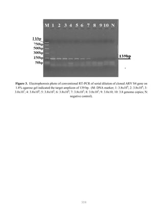 308
Figure 3. Electrophoresis photo of conventional RT-PCR of serial dilution of cloned ARV S4 gene on
1.8% agarose gel indicated the target amplicon of 139 bp. (M: DNA marker; 1: 3.8x109
; 2: 3.8x108
; 3:
3.8x107
; 4: 3.8x106
; 5: 3.8x105
; 6: 3.8x104
; 7: 3.8x103
; 8: 3.8x102
; 9: 3.8x10; 10: 3.8 genome copies; N:
negative control).
 