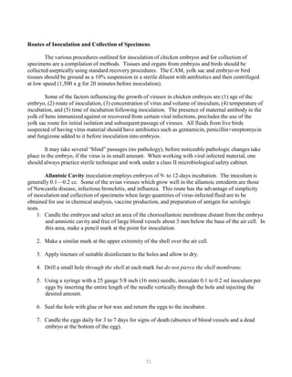 31
Routes of Inoculation and Collection of Specimens
The various procedures outlined for inoculation of chicken embryos and for collection of
specimens are a compilation of methods. Tissues and organs from embryos and birds should be
collected aseptically using standard recovery procedures. The CAM, yolk sac and embryo or bird
tissues should be ground as a 10% suspension in a sterile diluent with antibiotics and then centrifuged
at low speed (1,500 x g for 20 minutes before inoculation).
Some of the factors influencing the growth of viruses in chicken embryos are (1) age of the
embryo, (2) route of inoculation, (3) concentration of virus and volume of inoculum, (4) temperature of
incubation, and (5) time of incubation following inoculation. The presence of maternal antibody in the
yolk of hens immunized against or recovered from certain viral infections, precludes the use of the
yolk sac route for initial isolation and subsequent passage of viruses. All fluids from live birds
suspected of having virus material should have antibiotics such as gentamicin, penicillin+streptomycin
and fungizone added to it before inoculation into embryos.
It may take several “blind” passages (no pathology), before noticeable pathologic changes take
place in the embryo, if the virus is in small amount. When working with viral infected material, one
should always practice sterile technique and work under a class II microbiological safety cabinet.
Allantoic Cavity inoculation employs embryos of 9- to 12-days incubation. The inoculum is
generally 0.1—0.2 cc. Some of the avian viruses which grow well in the allantoic entoderm are those
of Newcastle disease, infectious bronchitis, and influenza. This route has the advantage of simplicity
of inoculation and collection of specimens when large quantities of virus-infected fluid are to be
obtained for use in chemical analysis, vaccine production, and preparation of antigen for serologic
tests.
1. Candle the embryos and select an area of the chorioallantoic membrane distant from the embryo
and amniotic cavity and free of large blood vessels about 3 mm below the base of the air cell. In
this area, make a pencil mark at the point for inoculation.
2. Make a similar mark at the upper extremity of the shell over the air cell.
3. Apply tincture of suitable disinfectant to the holes and allow to dry.
4. Drill a small hole through the shell at each mark but do not pierce the shell membrane.
5. Using a syringe with a 25 gauge 5/8 inch (16 mm) needle, inoculate 0.1 to 0.2 ml inoculum per
eggs by inserting the entire length of the needle vertically through the hole and injecting the
desired amount.
6. Seal the hole with glue or hot wax and return the eggs to the incubator.
7. Candle the eggs daily for 3 to 7 days for signs of death (absence of blood vessels and a dead
embryo at the bottom of the egg).
 