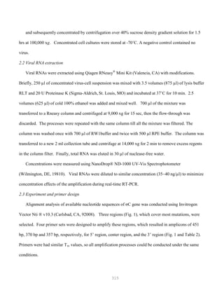 315
and subsequently concentrated by centrifugation over 40% sucrose density gradient solution for 1.5
hrs at 100,000 xg. Concentrated cell cultures were stored at -70˚C. A negative control contained no
virus.
2.2 Viral RNA extraction
Viral RNAs were extracted using Qiagen RNeasy®
Mini Kit (Valencia, CA) with modifications.
Briefly, 250 µl of concentrated virus-cell suspension was mixed with 3.5 volumes (875 µl) of lysis buffer
RLT and 20 U Proteinase K (Sigma-Aldrich, St. Louis, MO) and incubated at 37˚C for 10 min. 2.5
volumes (625 µl) of cold 100% ethanol was added and mixed well. 700 µl of the mixture was
transferred to a Rneasy column and centrifuged at 9,000 xg for 15 sec, then the flow-through was
discarded. The processes were repeated with the same column till all the mixture was filtered. The
column was washed once with 700 µl of RW1buffer and twice with 500 µl RPE buffer. The column was
transferred to a new 2 ml collection tube and centrifuge at 14,000 xg for 2 min to remove excess regents
in the column filter. Finally, total RNA was eluted in 30 µl of nuclease-free water.
Concentrations were measured using NanoDrop® ND-1000 UV-Vis Spectrophotometer
(Wilmington, DE, 19810). Viral RNAs were diluted to similar concentration (35~40 ng/µl) to minimize
concentration effects of the amplification during real-time RT-PCR.
2.3 Experiment and primer design
Alignment analysis of available nucleotide sequences of σC gene was conducted using Invitrogen
Vector Nti ® v10.3 (Carlsbad, CA, 92008). Three regions (Fig. 1), which cover most mutations, were
selected. Four primer sets were designed to amplify these regions, which resulted in amplicons of 451
bp, 370 bp and 357 bp, respectively, for 5’ region, center region, and the 3’ region (Fig. 1 and Table 2).
Primers were had similar Tm values, so all amplification processes could be conducted under the same
conditions.
 