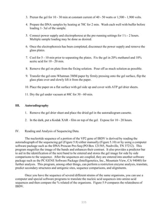 335
3. Prerun the gel for 10 - 30 min at constant current of 40 - 50 watts or 1,500 - 1,900 volts.
4. Prepare the DNA samples by heating at 70C for 2 min. Wash each well with buffer before
loading 1- 3ul of the sample.
5. Connect power supply and electrophorese at the pre-running settings for 1½ - 2 hours.
Multiple sample loading may be done as desired.
6. Once the electrophoresis has been completed, disconnect the power supply and remove the
glass plates.
7. Cool for 5 - 10 min prior to separating the plates. Fix the gel in 20% methanol and 10%
acetic acid for 10 - 20 min.
8. Remove the gel on plate from the fixing solution. Pour off as much solution as possible.
9. Transfer the gel onto Whatman 3MM paper by firmly pressing onto the gel surface, flip the
glass plate over and slowly lift it from the paper.
10. Place the paper on a flat surface with gel side up and cover with ATP gel drier sheets.
11. Dry the gel under vacuum at 80C for 30 - 60 min.
III. Autoradiography
1. Remove the gel drier sheet and place the dried gel in the autoradiogram cassette.
2. In the dark, put a Kodak XAR - film on top of the gel. Expose for 10 - 20 hours.
IV. Reading and Analysis of Sequencing Data.
The nucleotide sequence of a portion of the VP2 gene of IBDV is derived by reading the
autoradiograph of the sequencing gel (Figure 5.8) either manually (Figure 5.10) or by using a computer
software package such as the DNA Proscan Pro-Seq (PO Box 121585, Nashville, TN 37212). This
program magnifies the image of the bands and enhances their contrast. It also provides a predictor bar
to aid in the identification of the next band to be entered and stores the gel image for side by side
comparisons to the sequence. After the sequences are coupled, they are entered into another software
package such as the PC/GENE Software Package (Intelligenetics, Inc., Mountain View, CA 94040) for
further analysis. This program, among other things, can perform a restriction enzyme analysis, translate,
predict secondary structures and antigenic sites, sequence comparisons, and alignments.
Once you have the sequence of several different strains of the same organisms, you can use a
computer and special software programs to translate the nucleic acid sequences into amino acid
sequences and then compare the % related of the organisms. Figure 5.9 compares the relatedness of
IBDV.
 